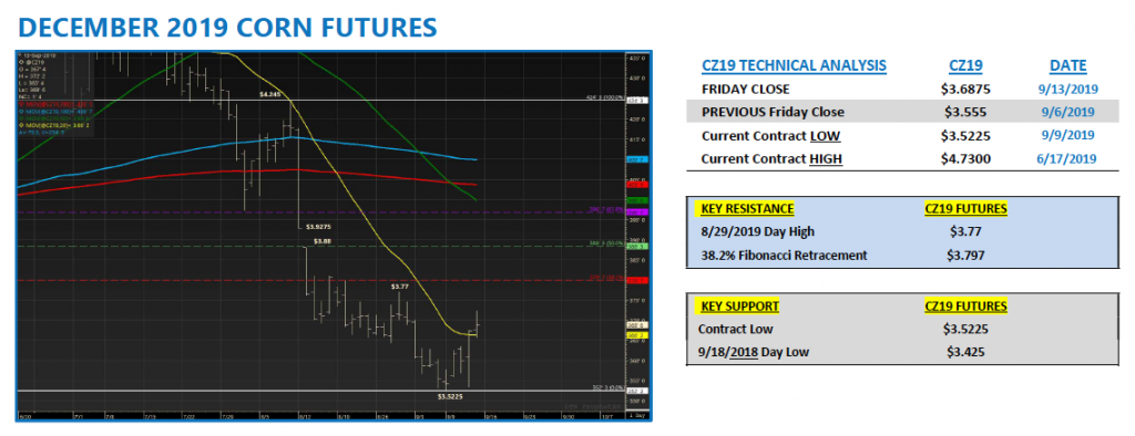 december corn futures trading chart analysis forecast week september 16