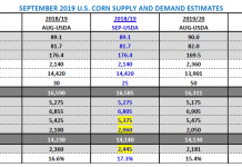 Are U.S. Corn Futures a Buy Under $3.55 per Bushel? september corn supply demand estimates yield planted acres carryin image
