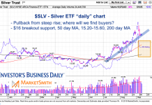 Silver ETF (SLV) Update: All Eyes On $16 Support silver etf slv chart analysis buy support levels month september