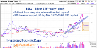 Silver ETF (SLV) Update: All Eyes On $16 Support silver etf slv chart analysis buy support levels month september