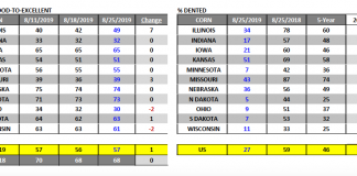 U.S. Corn Futures Price Outlook Clouded By Yield Concerns united states corn percent rated good to excellent by state week september 2