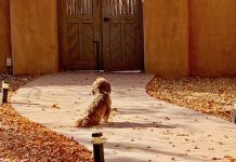 Even Raul Waits for the Stock Market to Make New Highs