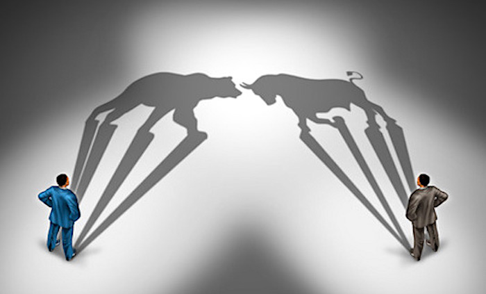 stock market bull bear investors news image