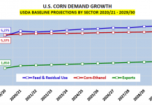 US Corn Market Year 2020 Forecast and Price Outlook us corn demand growth sectors 10 year forecast