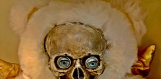 Stock Market Bears Are Not Aging Well scary stock market bear