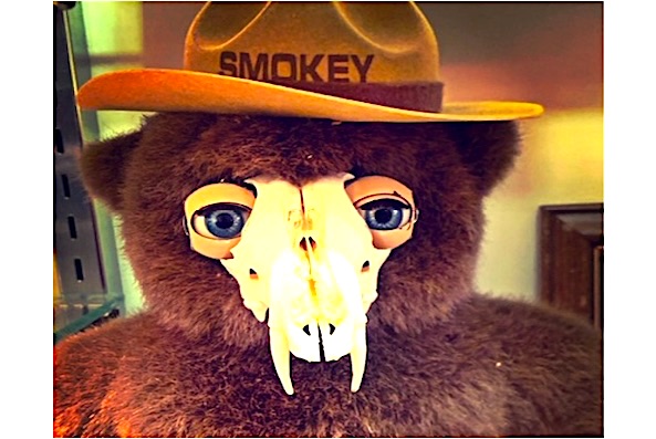 Will Decaying Stock Market Bears Come Back to Life?