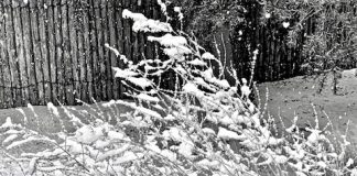 U.S. Stock Market Feels Like Summer, Looks Like Winter stock market winter image bearish