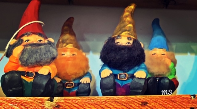 stock market gnomes