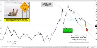 Commodities Crash Sending Bearish Message About Economy to Hopeful Bulls commodity index price crash new lows bearish chart image april 28
