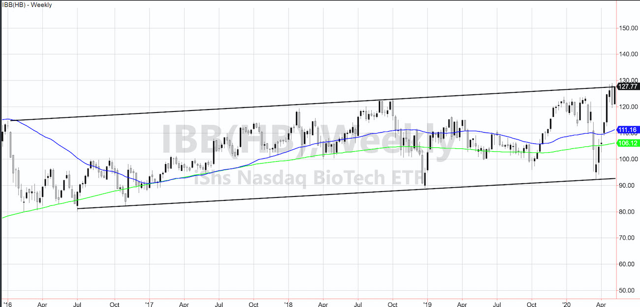 The Beauty of the Biotechnology ETF (IBB) Price Channel See It Market