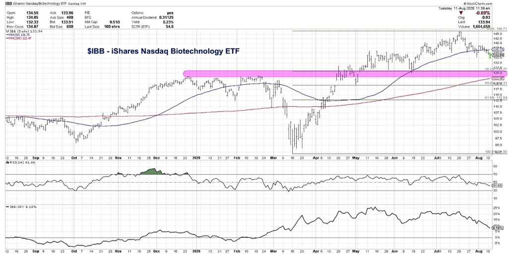 ibb ishares biotechnology sector etf decline lower price targets chart image august 12