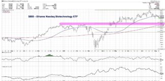 Biotech Sector ETF Breaks Price Support, Downside Target In View ibb ishares biotechnology sector etf decline lower price targets chart image august 12