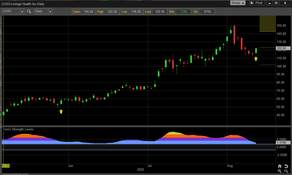 livongo health stock chart lvgo buy bullish higher forecast investing image august 14