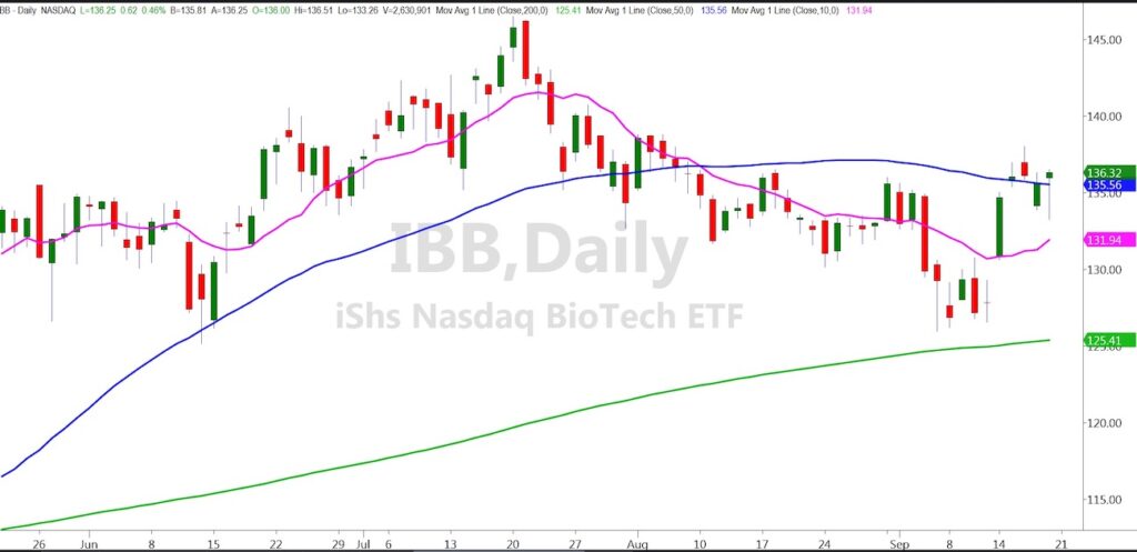 ibb biotech sector etfs buy signal price rally chart image september