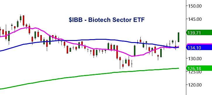 biotech sector etf ibb rally higher forecast new highs month october analysis