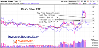 Silver ETF (SLV) Price Decline Buy Support Levels silver etf slv price chart decline pullback fibonacci support image