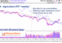 Agriculture Commodities Rally Into COVID Dislocation Gap dba agriculture commodities etf trading higher rally food prices image december 28