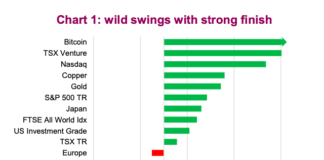 Investment Lessons From 2020 volatile percent swings by asset class year 2020 investment chart