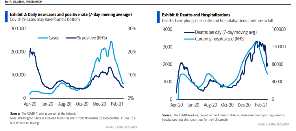 covid cases daily hospitalizations chart february year 2021