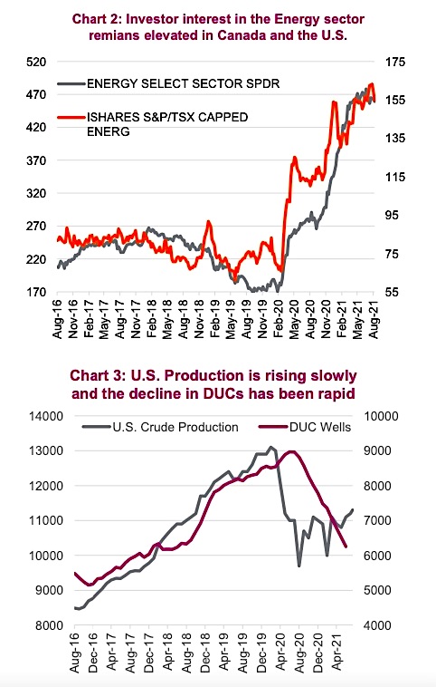 energy sector investor sentiment indicators analysis chart august