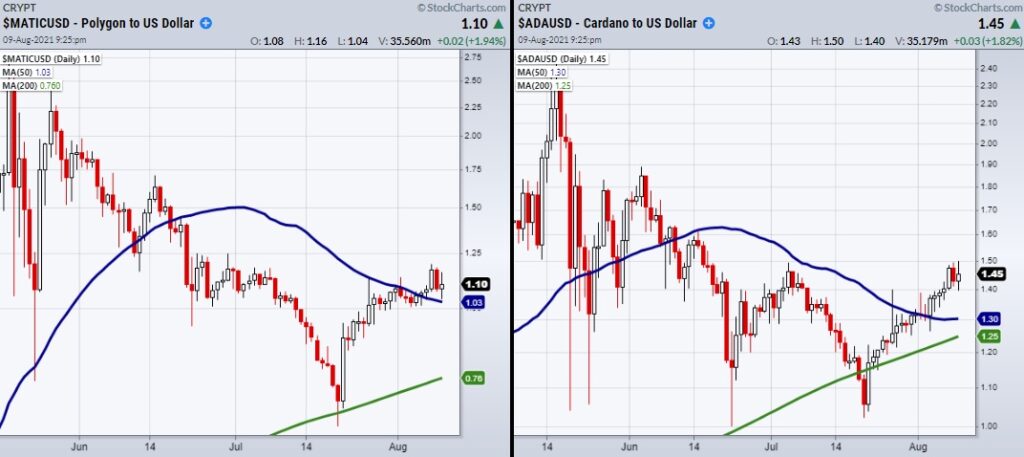 polygon and cardano cryptocurrency charts analysis bullish indicators august 10