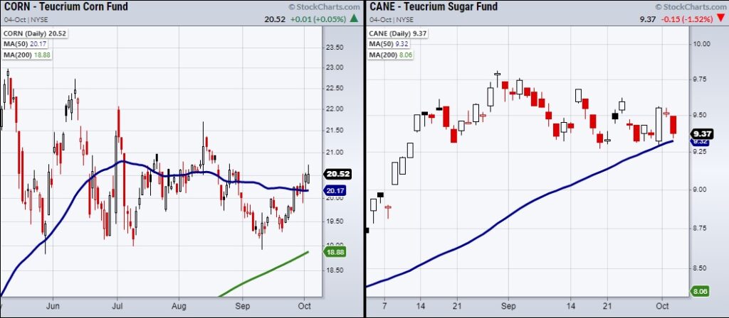 commodities corn sugar rally strength prices chart october