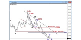 Commodity Currency Pairs USDCAD NZDUSD Nearing Elliott Wave Inflections usdcad currency pair elliott wave forecast low chart october 20