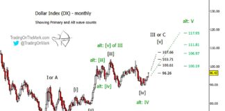 US Dollar Index (Elliott Wave): Two Bullish Scenarios us dollar index elliott wave 5 long term high price target 120 chart