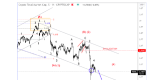 Bitcoin & Ripple Elliott Wave Analysis: Look For More Downside crypto currency total market capitalization elliott wave chart