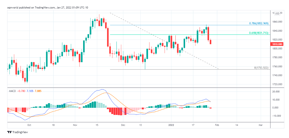 gold daily trading price chart sell signal elliott wave