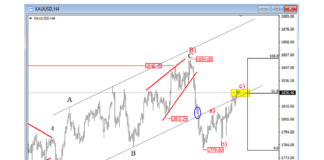 Metals GOLD and Palladium Complete The Recovery: Elliott Wave Analysis gold price forecast elliott wave analysis chart february