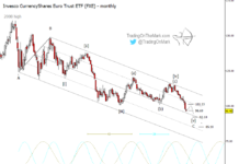 Euro Currency ETF (FXE) Elliott Wave Trading Outlook (Year 2022) euro currency elliott wave five major low price target year 2023 chart image