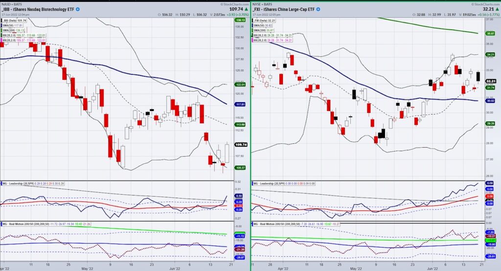 biotech stocks ibb etf strength in down market chart month june