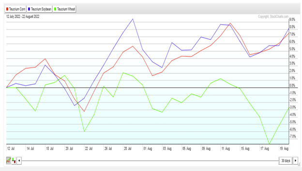 rising prices corn soybeans wheat inflation food warning year 2022 chart image