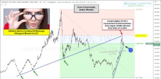 Is Inflation Cooling Off? Watch This Commodity Index! commodity index peak year 2022 inflation image