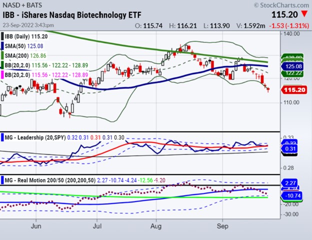 ibb biotech sector etf trading decline price analysis chart september