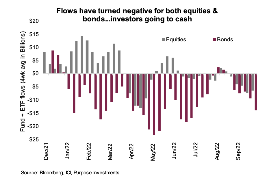 fund flows negative for equities bonds year 2022 image