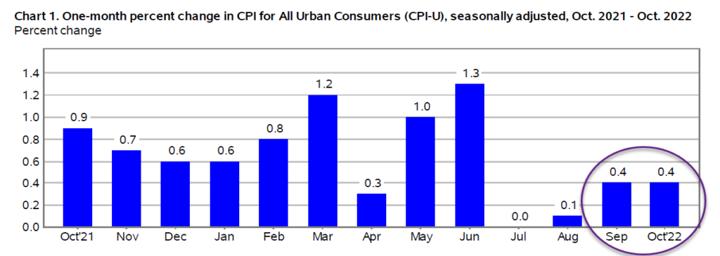 consumer price index cpi by month year 2022 chart