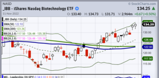 Stock Market Indices Improving Phases; What’s Next? ibb biotechnology etf trading breakout buy signal november chart