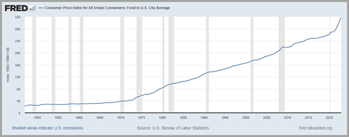 consumer price index food inflation line chart year 2022