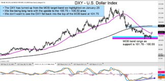 US Dollar Strength: Does This Rally Have Legs? us dollar reversal higher rally price targets analysis chart february