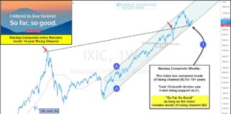 Nasdaq Composite Holds Critical Support, Bulls March On nasdaq composite long term bull market buy signal investors positive chart year 2023