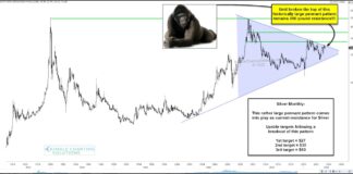 Silver Prices Testing 800 Pound “Pennant” Breakout Resistance! silver futures price bullish pennant pattern formation important investing chart year 2023