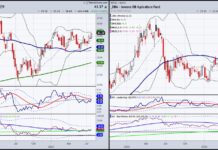 Investing In Commodities and Stores of Value copx and dba commodity etfs ticker symbols bullish investment price charts image