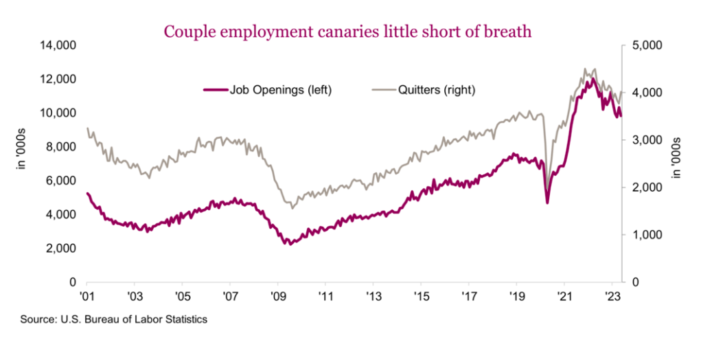job openings versus quitters year 2023 employment market snapshot