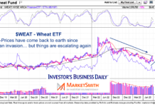 $WEAT Wheat ETF (and inflation) Down But Not Out As Ukraine War Escalates