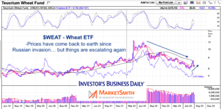 $WEAT Wheat ETF (and inflation) Down But Not Out As Ukraine War Escalates