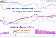 Agriculture Commodities ETF (DBA) Eyeing Breakout Resistance dba agriculture commodity etf trading price breakout resistance chart november