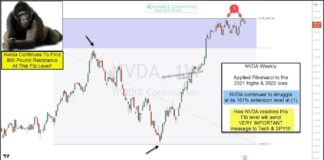 Market Leader Nvidia (NVDA) Struggling At Key Fibonacci Resistance! nvda nvidia stock price fibonacci resistance peak top high chart analysis image