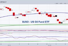 Crude Oil is the New Gold: Buy When There is Blood in the Street uso united states oil etf price decline lower investment analysis chart image